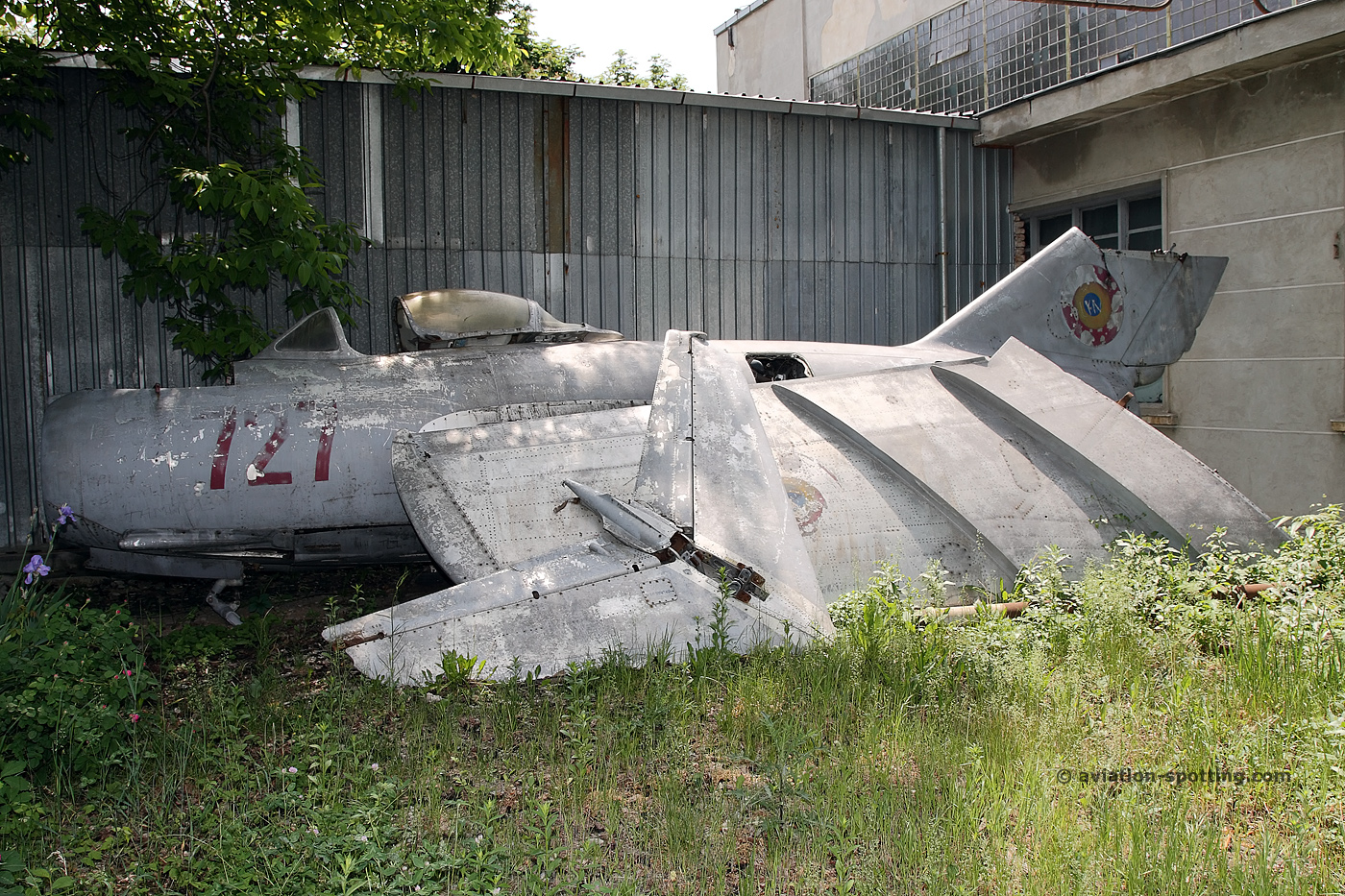 Romanian Air Force Mikoyan-Gurevich MiG-15 Fagot 727