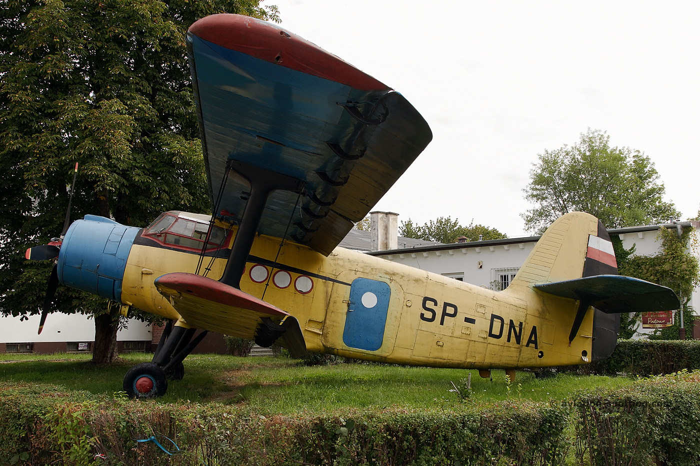 SP-DNA Antonov AN-2
